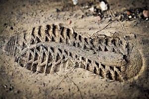 Criminalista Criminalista